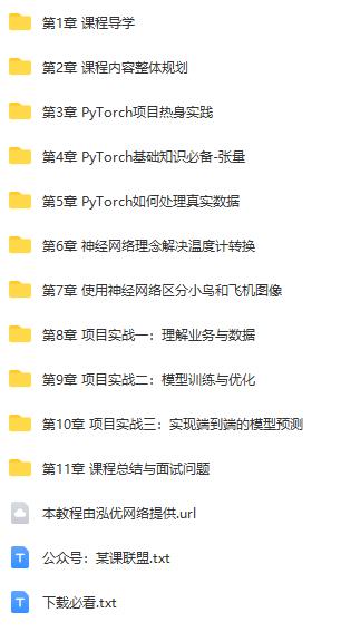 PyTorch深度学习开发医学影像端到端判别项目（完整版11章）_泓优网络